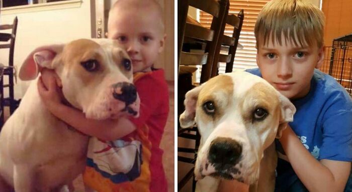 Wait Till You See These Pets And Their Humans Growing Up Together!