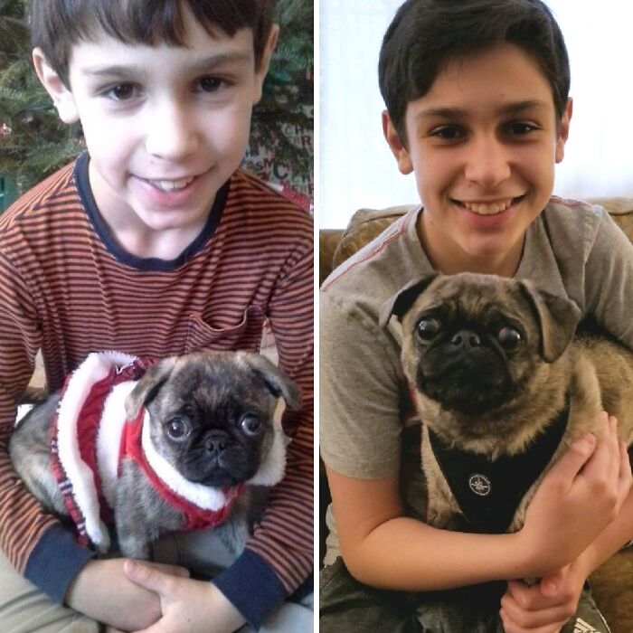 Wait Till You See These Pets And Their Humans Growing Up Together!