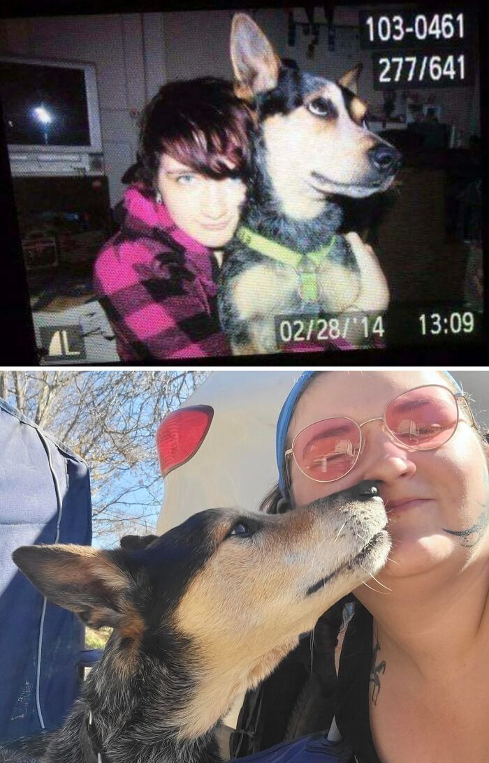 Wait Till You See These Pets And Their Humans Growing Up Together!