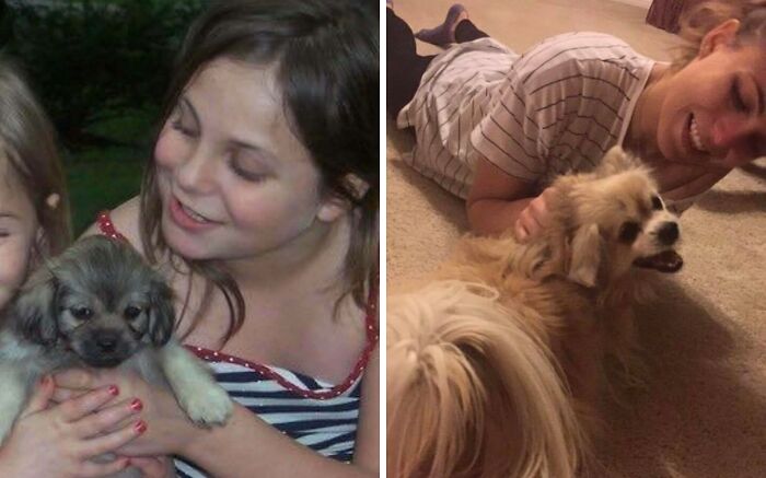 Wait Till You See These Pets And Their Humans Growing Up Together!