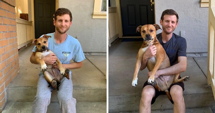 Wait Till You See These Pets And Their Humans Growing Up Together!
