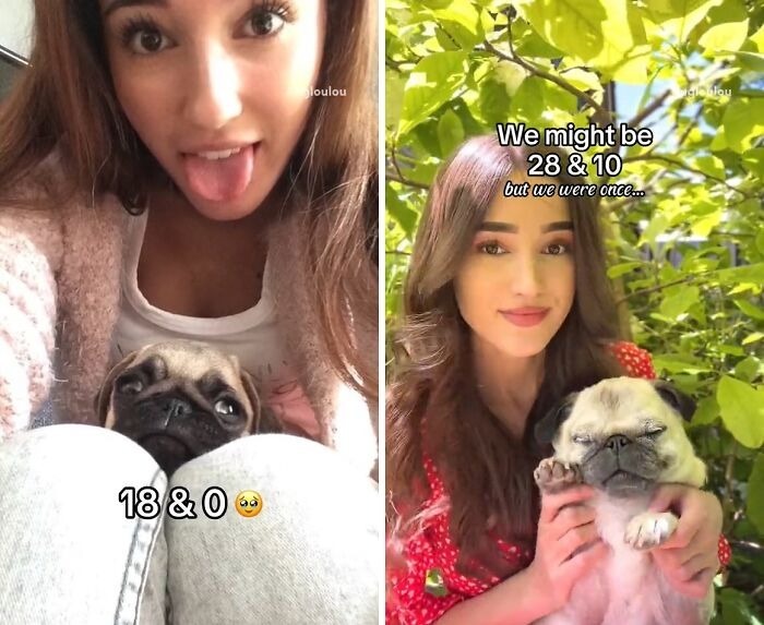 Wait Till You See These Pets And Their Humans Growing Up Together!