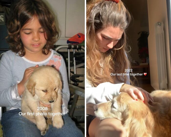 Wait Till You See These Pets And Their Humans Growing Up Together!