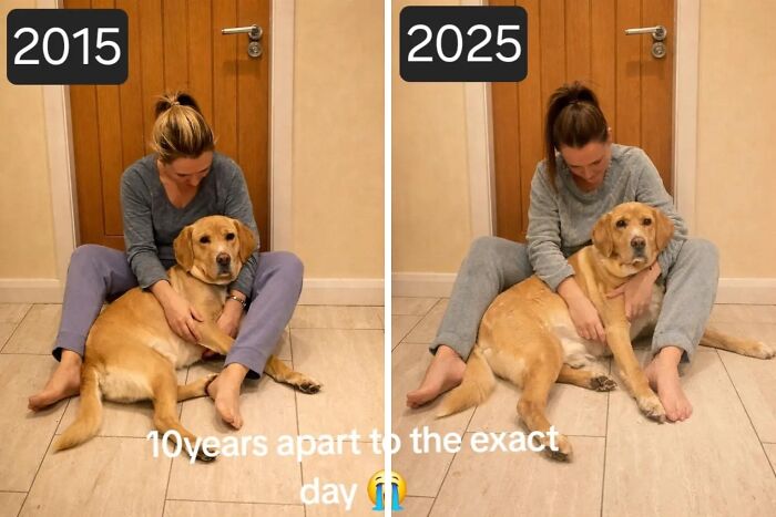 Wait Till You See These Pets And Their Humans Growing Up Together!