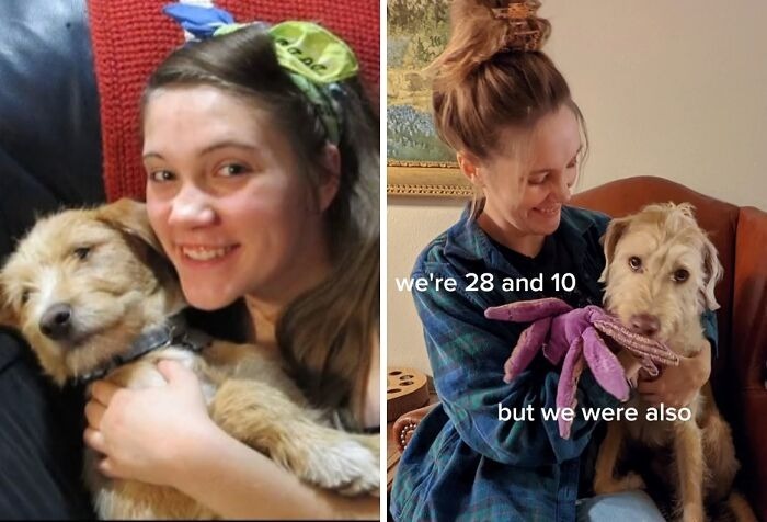 Wait Till You See These Pets And Their Humans Growing Up Together!