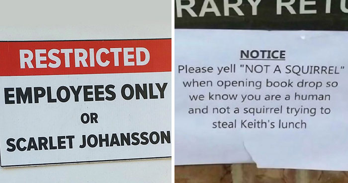 Wait, They Actually Made Rules This Specific?!