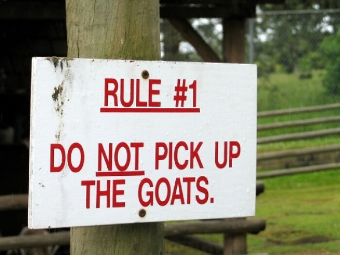Reddit, Remember Rule #1?