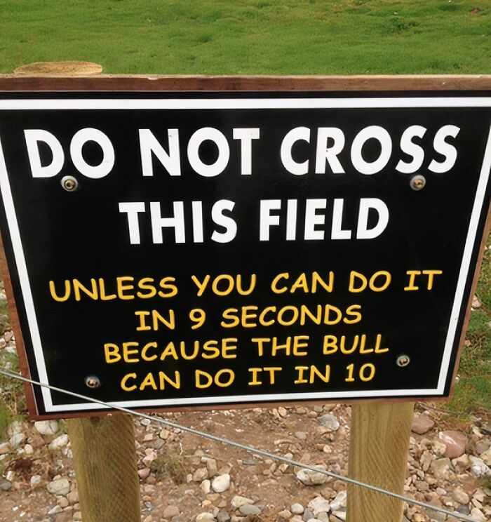 Confused About What To Do?