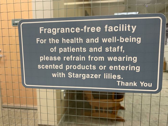 Just A Few Lily Rules To Remember