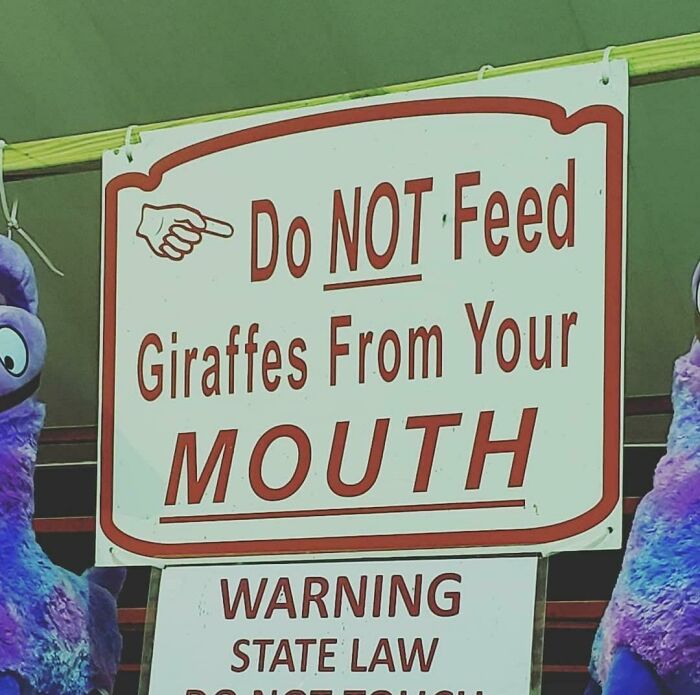 Dreams Dashed: Guess I’ll Go Elsewhere