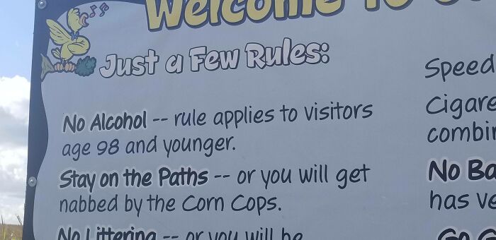 Alcohol Rules In A Corn Maze? Yep.