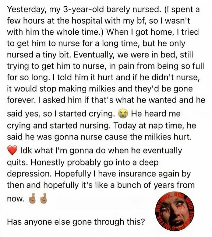 What Did I Even Just Read?