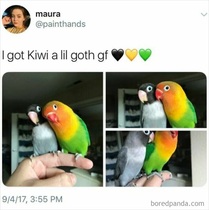 These 50 Wholesome Internet Gems Will Totally Brighten Your Day