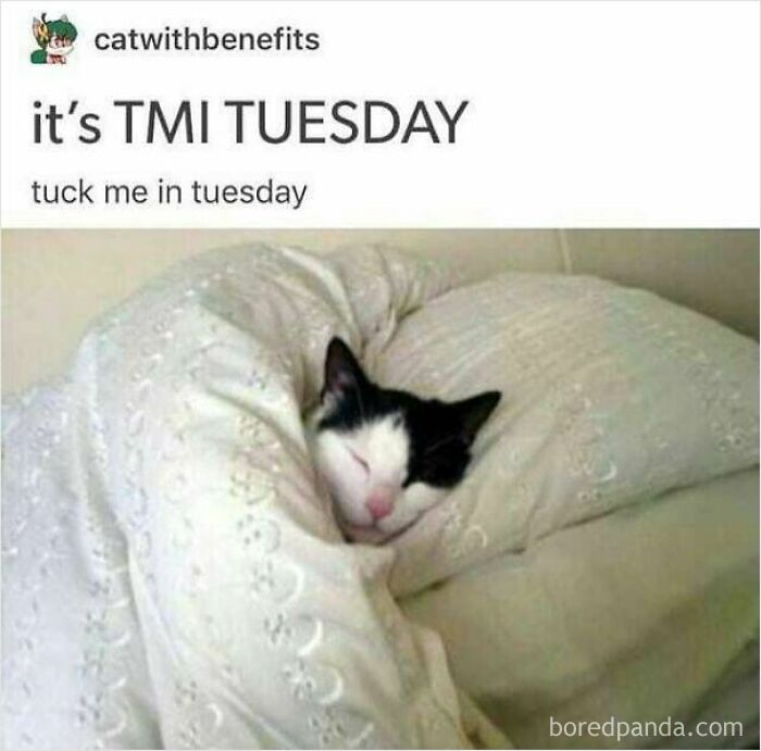 These 50 Wholesome Internet Gems Will Totally Brighten Your Day