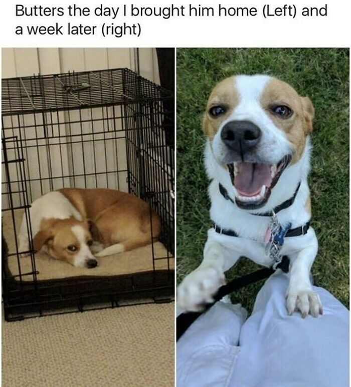 These 50 Wholesome Internet Gems Will Totally Brighten Your Day