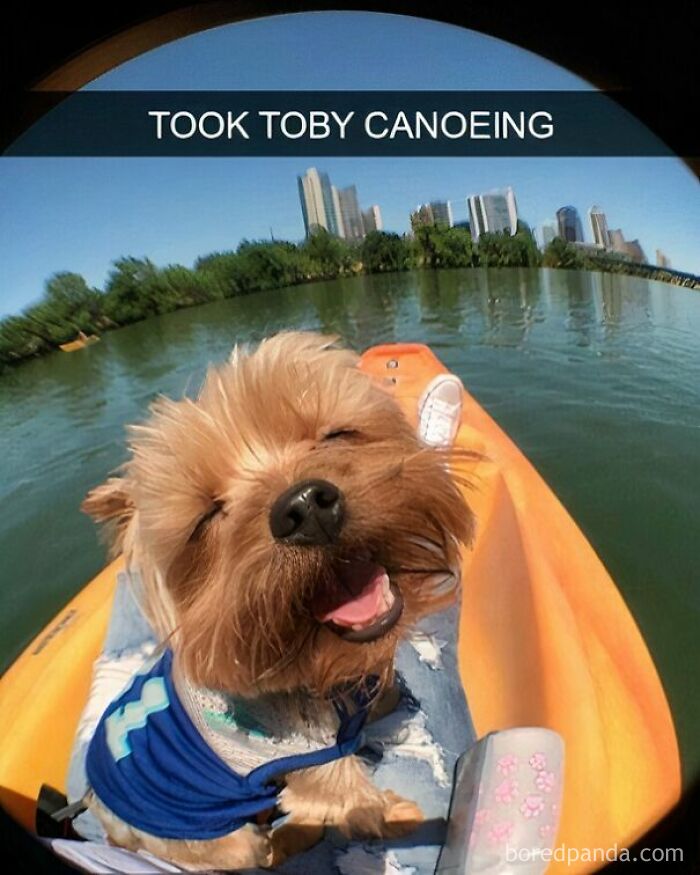 These 50 Wholesome Internet Gems Will Totally Brighten Your Day