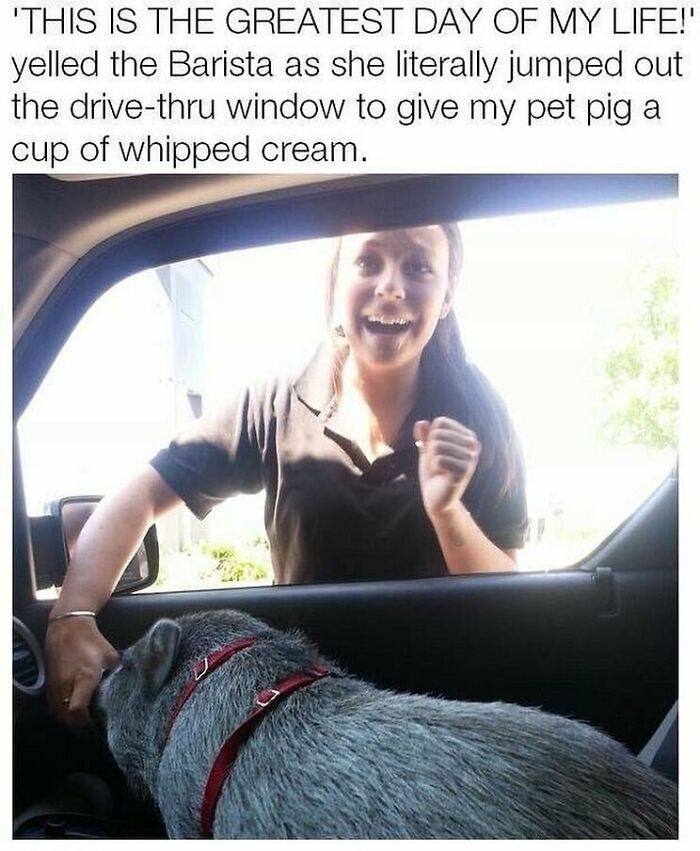 These 50 Wholesome Internet Gems Will Totally Brighten Your Day