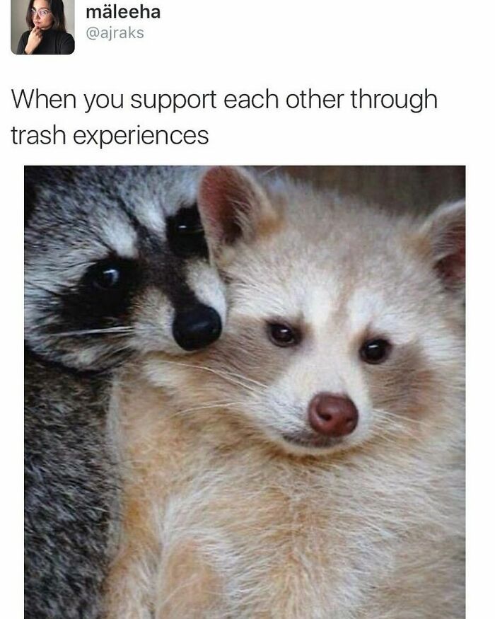 These 50 Wholesome Internet Gems Will Totally Brighten Your Day