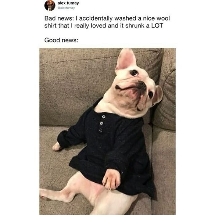 These 50 Wholesome Internet Gems Will Totally Brighten Your Day