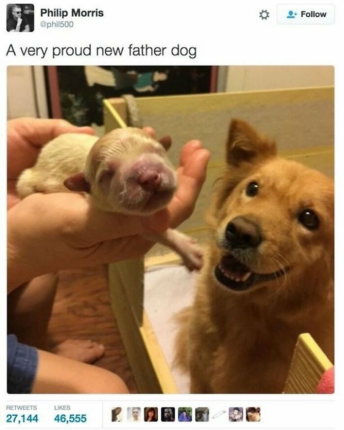 These 50 Wholesome Internet Gems Will Totally Brighten Your Day
