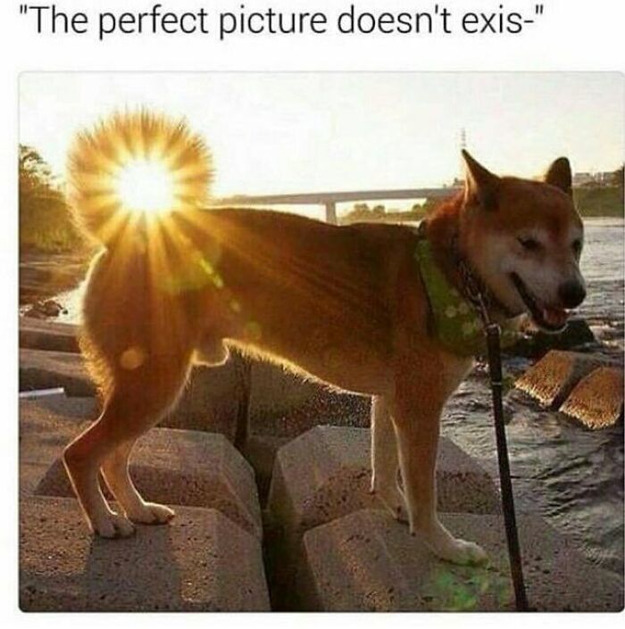 These 50 Wholesome Internet Gems Will Totally Brighten Your Day