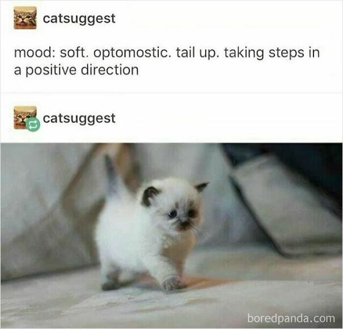 These 50 Wholesome Internet Gems Will Totally Brighten Your Day