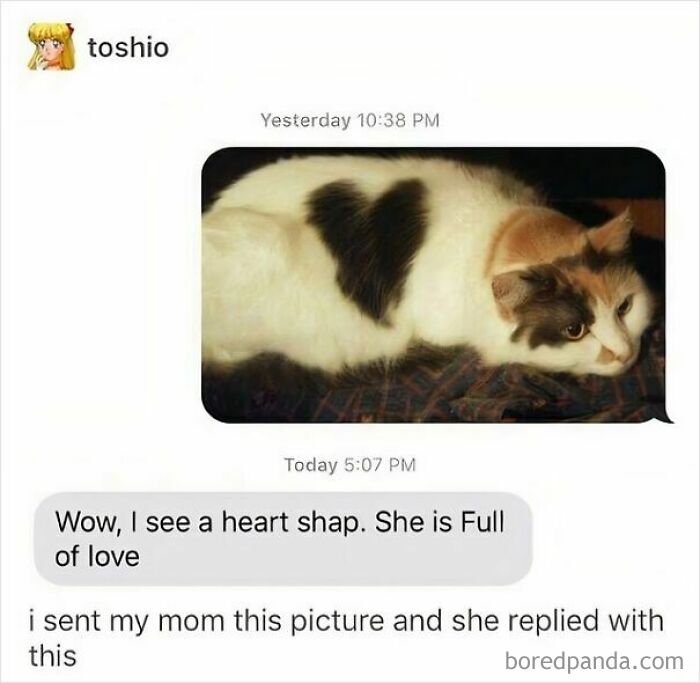 These 50 Wholesome Internet Gems Will Totally Brighten Your Day