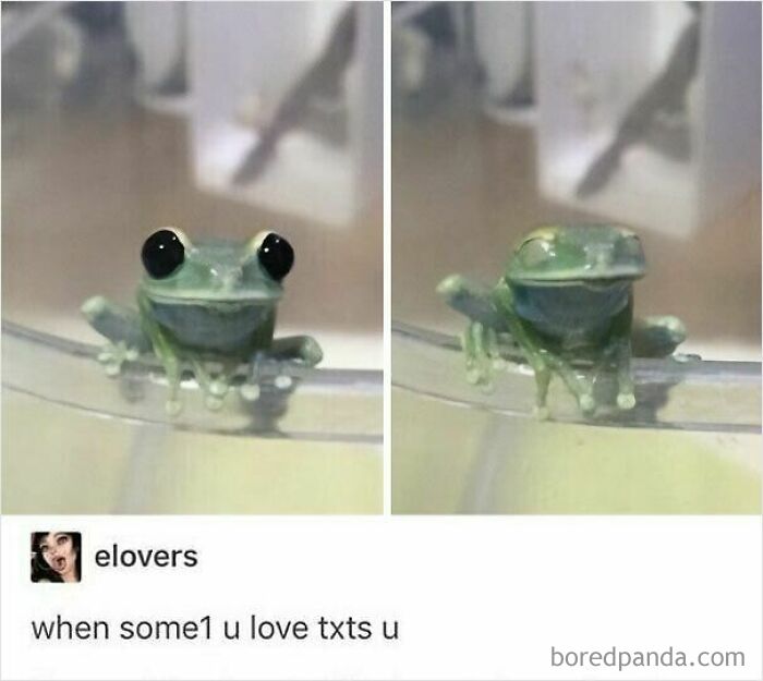 These 50 Wholesome Internet Gems Will Totally Brighten Your Day