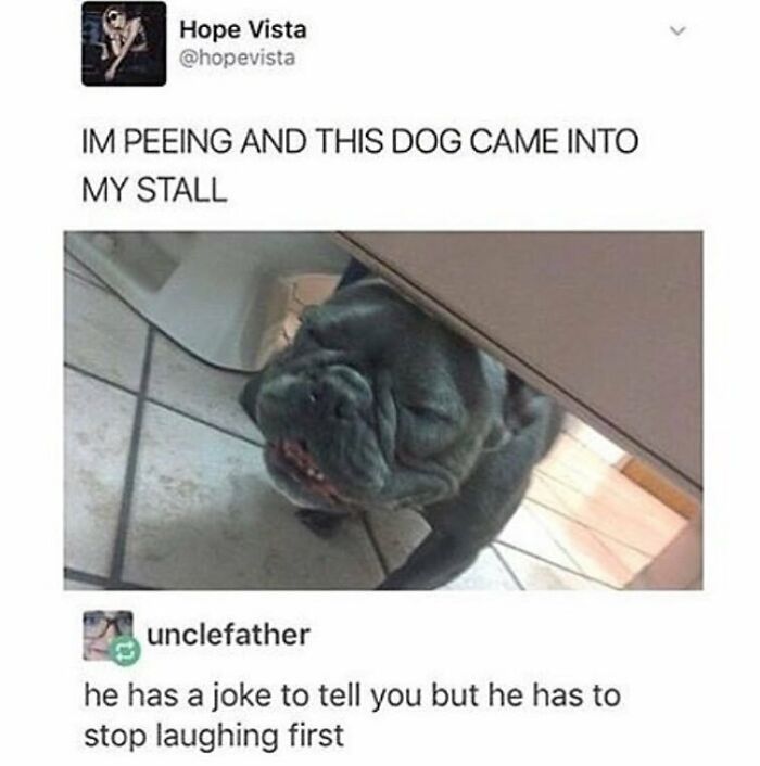 These 50 Wholesome Internet Gems Will Totally Brighten Your Day