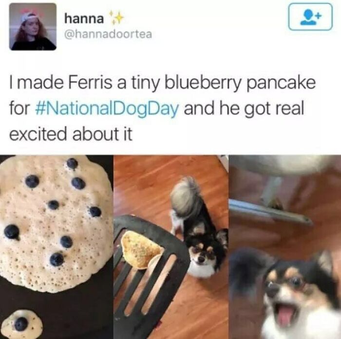 These 50 Wholesome Internet Gems Will Totally Brighten Your Day