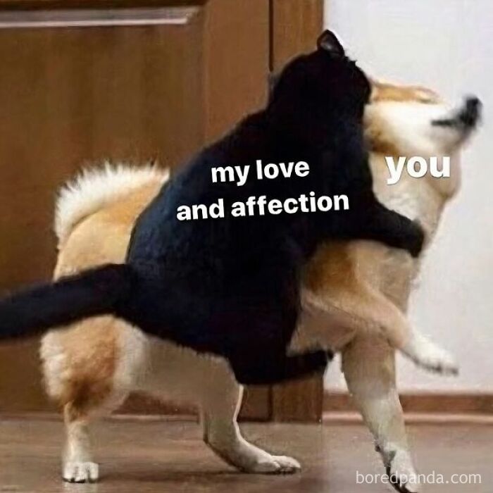 These 50 Wholesome Internet Gems Will Totally Brighten Your Day