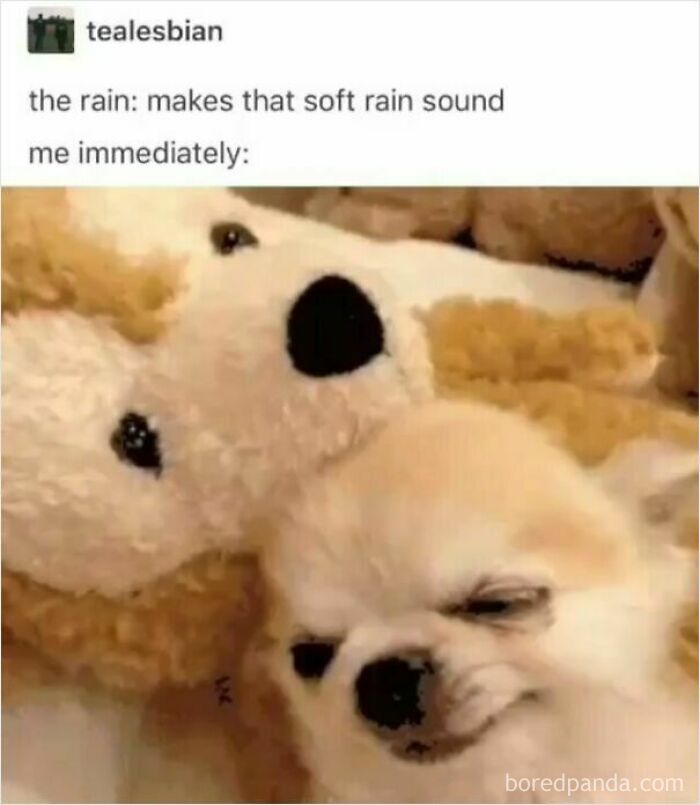These 50 Wholesome Internet Gems Will Totally Brighten Your Day