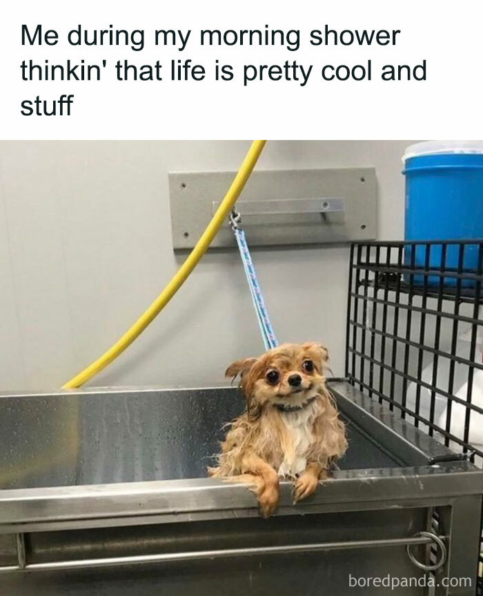 These 50 Wholesome Internet Gems Will Totally Brighten Your Day