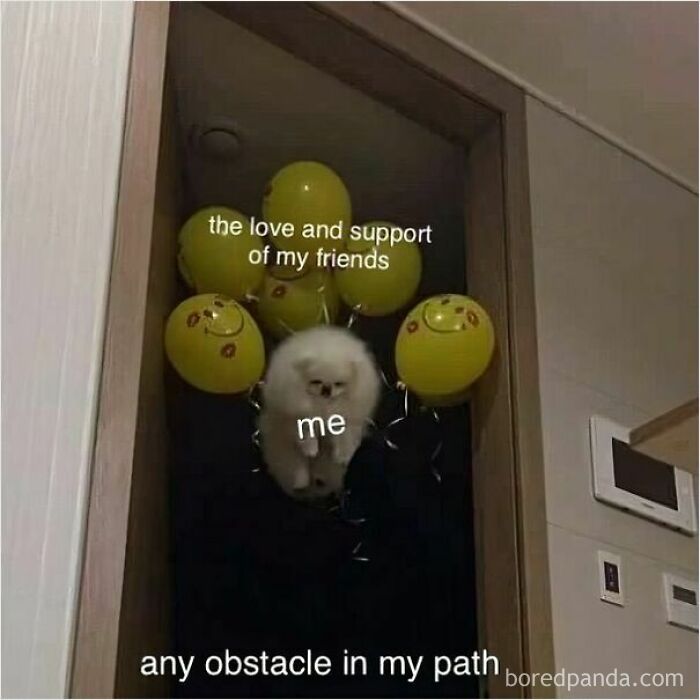 These 50 Wholesome Internet Gems Will Totally Brighten Your Day