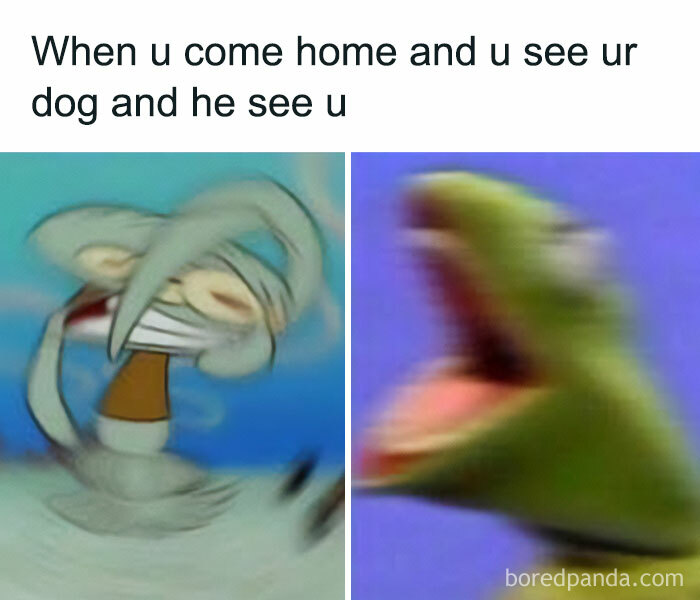 These 50 Wholesome Internet Gems Will Totally Brighten Your Day