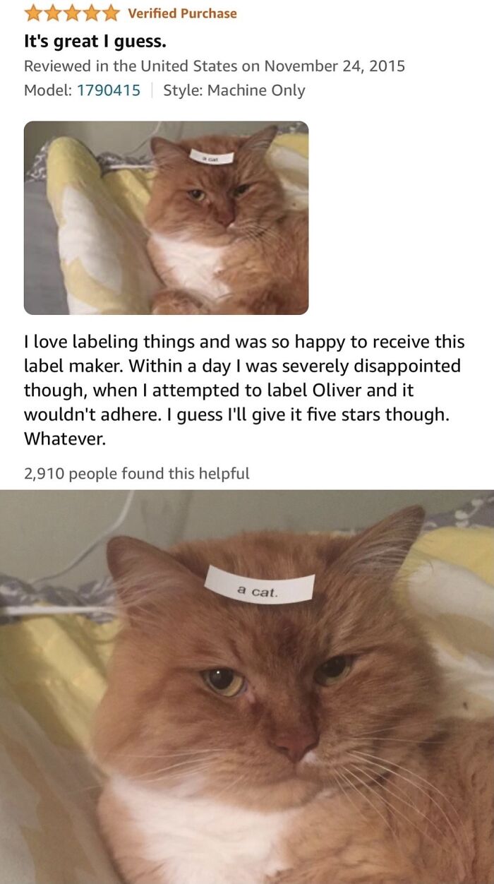 Label Your Cat? This Review Just Made It Way Easier