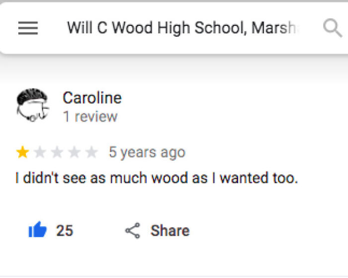Not Enough Wood? The Honest Log Cabin Review