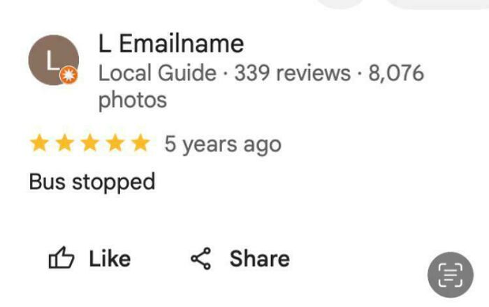 Wait, People Actually Reviewed These? The Funniest Online Ratings Ever