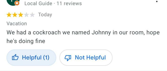 Wait, People Actually Reviewed These? The Funniest Online Ratings Ever