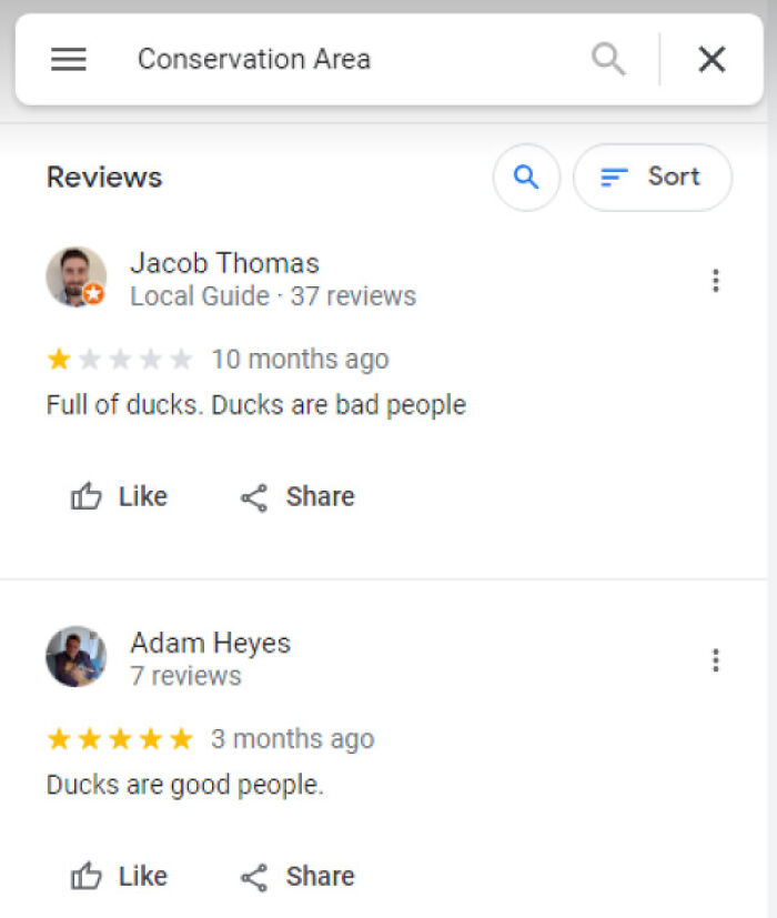 Wait, People Actually Reviewed These? The Funniest Online Ratings Ever