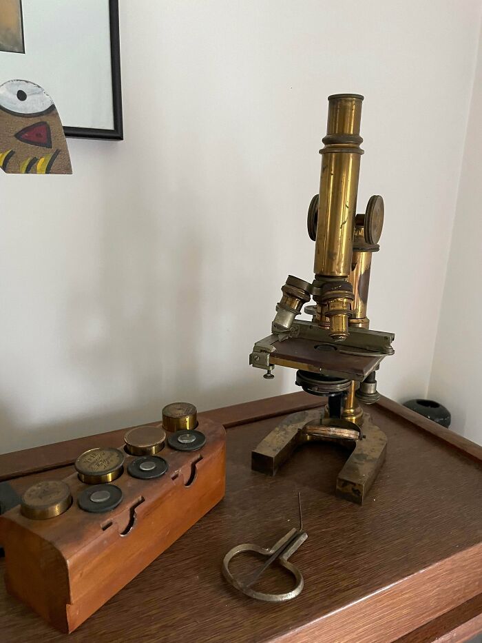 Great-Grandpa’s Microscope Could Go For $750 to $2,000