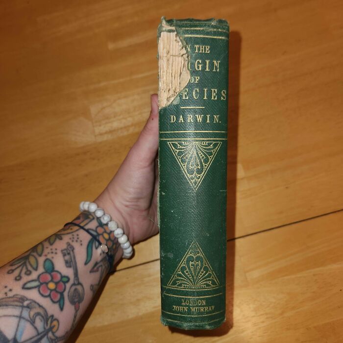 Origin of Species Third Edition? Roughly $900 to $1,500