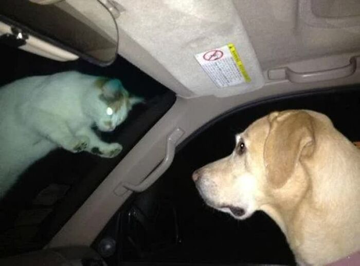 Confusing Pics That’ll Totally Make You Go Hmmm