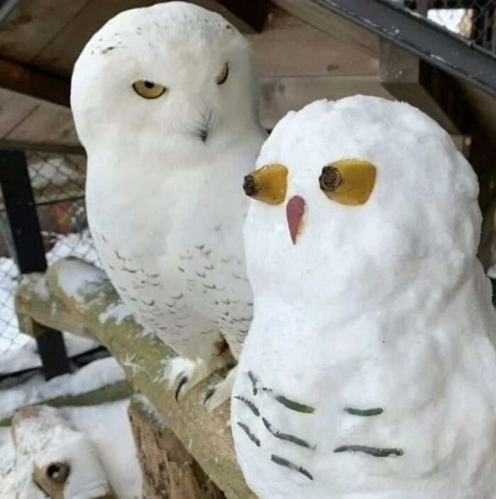 Confusing Pics That’ll Totally Make You Go Hmmm