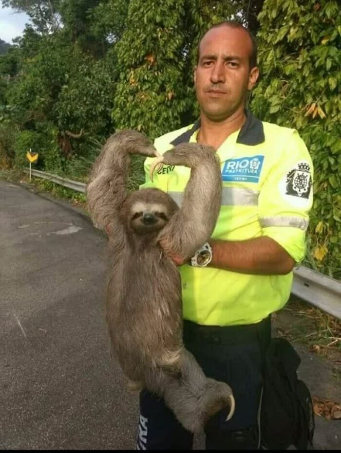 Confusing Pics That’ll Totally Make You Go Hmmm