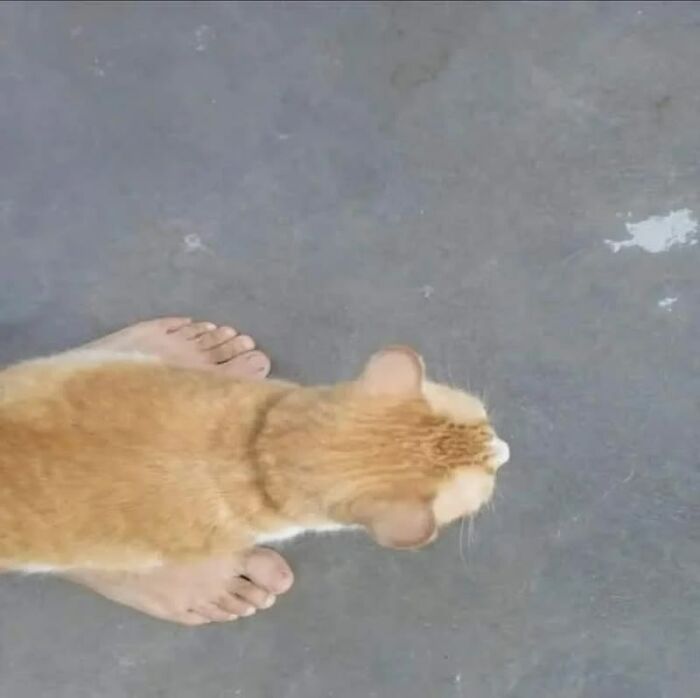 Confusing Pics That’ll Totally Make You Go Hmmm