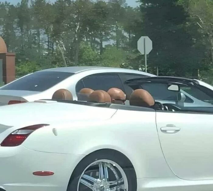 Confusing Pics That’ll Totally Make You Go Hmmm