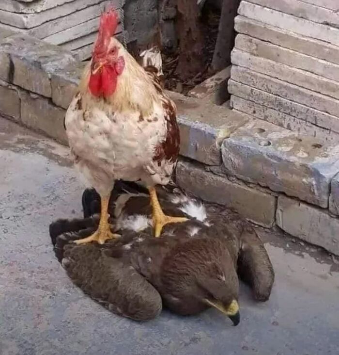 Confusing Pics That’ll Totally Make You Go Hmmm