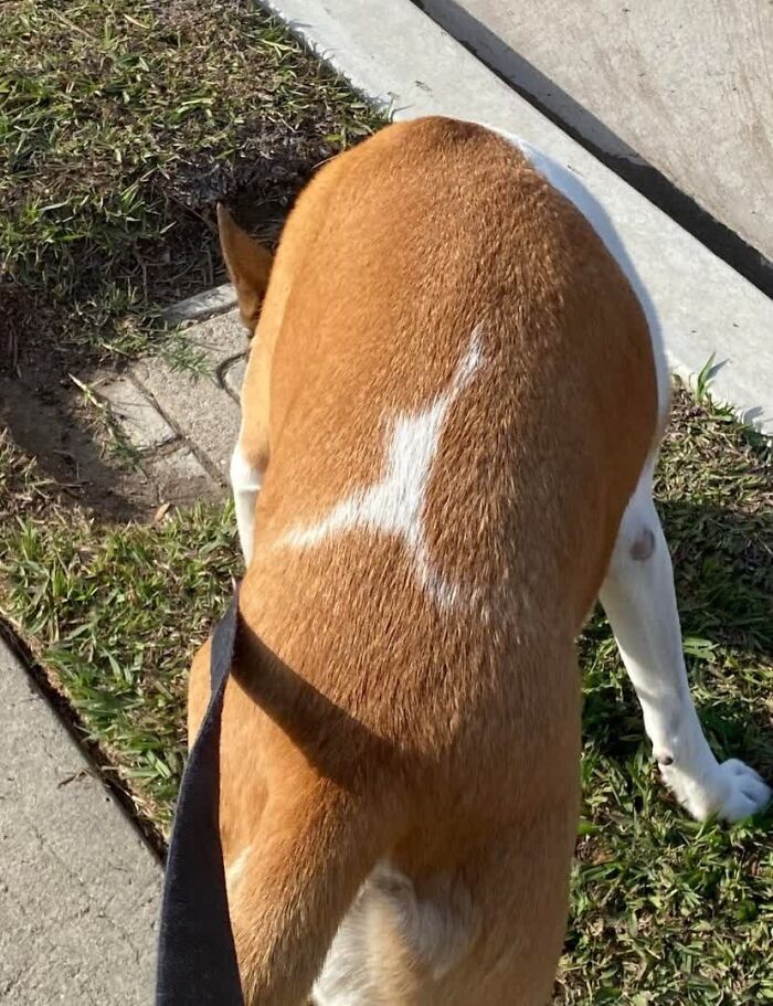 Confusing Pics That’ll Totally Make You Go Hmmm