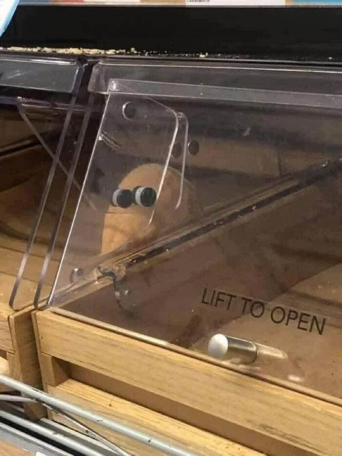 Confusing Pics That’ll Totally Make You Go Hmmm